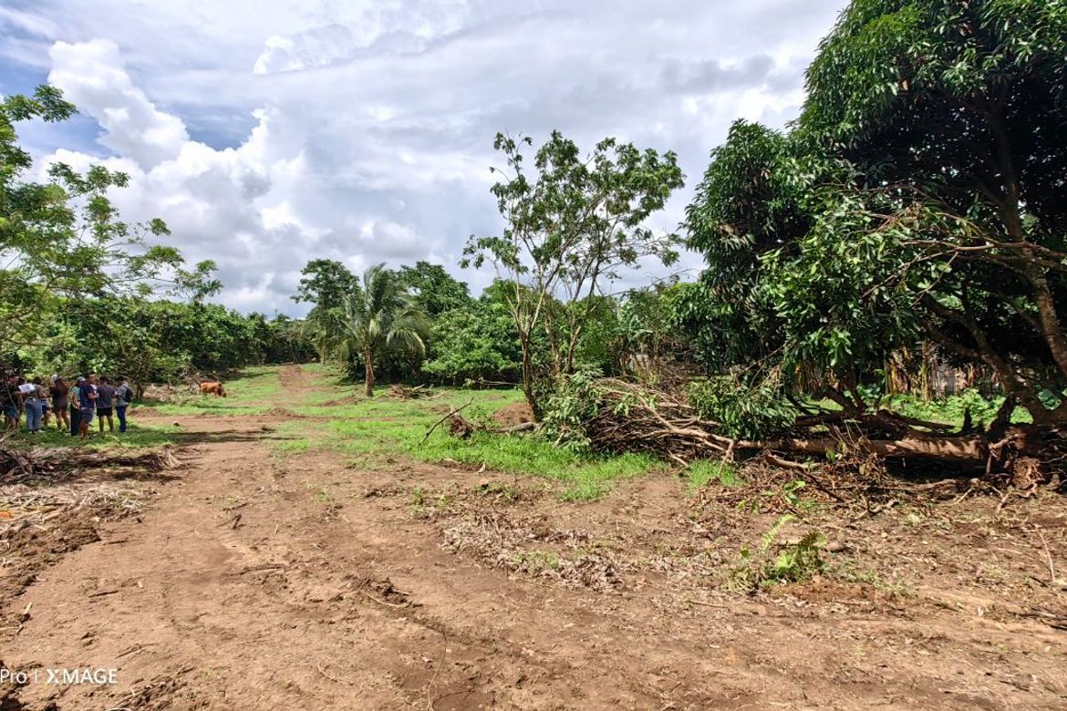 Land for Sale in Balite I, Silang, Cavite – photo 4