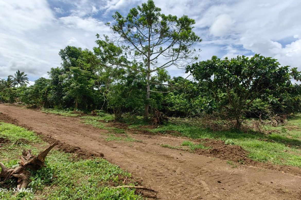 Land for Sale in Balite I, Silang, Cavite – photo 5