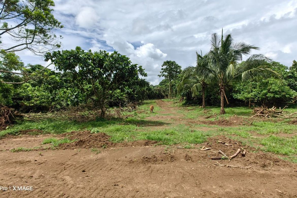 Land for Sale in Balite I, Silang, Cavite – photo 6