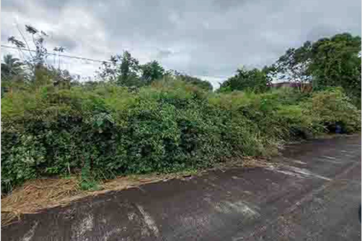 Land for Sale in Balite II, Silang, Cavite