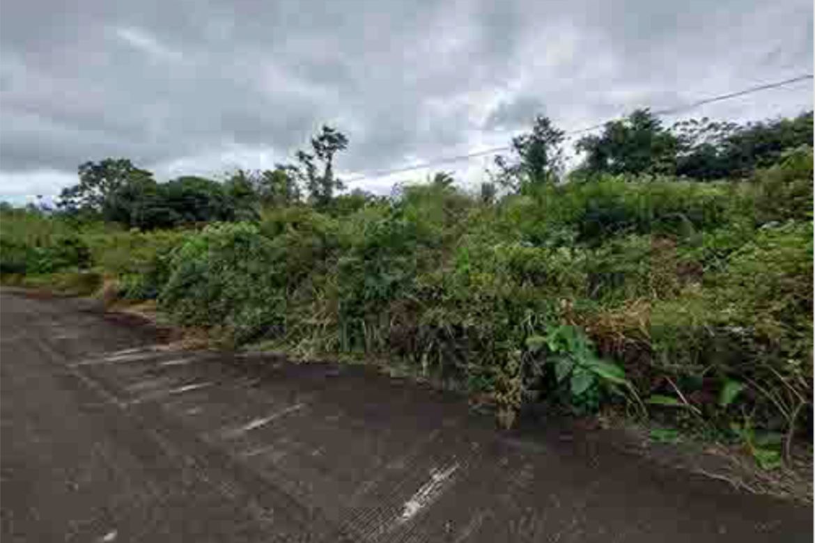 Land for Sale in Balite II, Silang, Cavite – photo 2