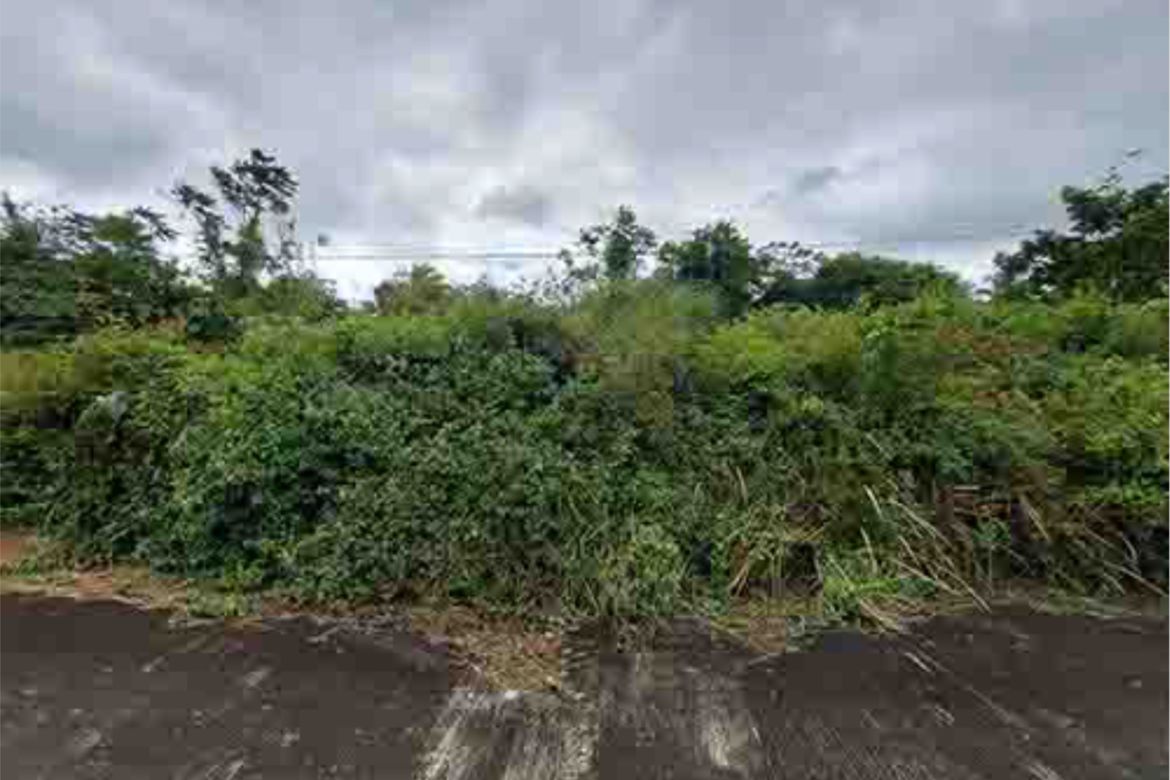 Land for Sale in Balite II, Silang, Cavite – photo 3