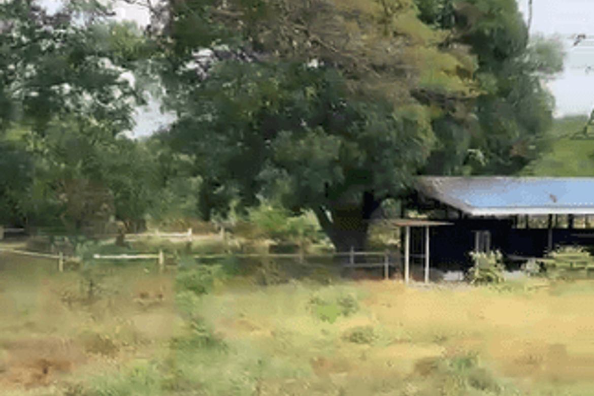 Land for Sale in Balitoc, Calatagan, Batangas – photo 4