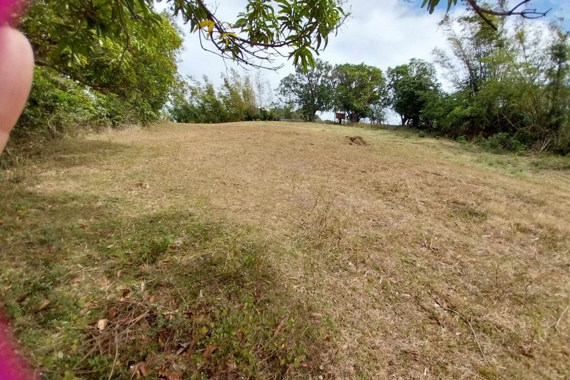 Land for Sale in Balitoc, Calatagan, Batangas – photo 8