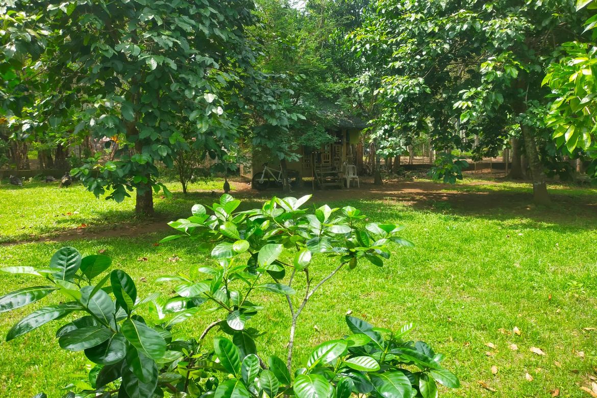 Land for Sale in Balubad, Lumban, Laguna