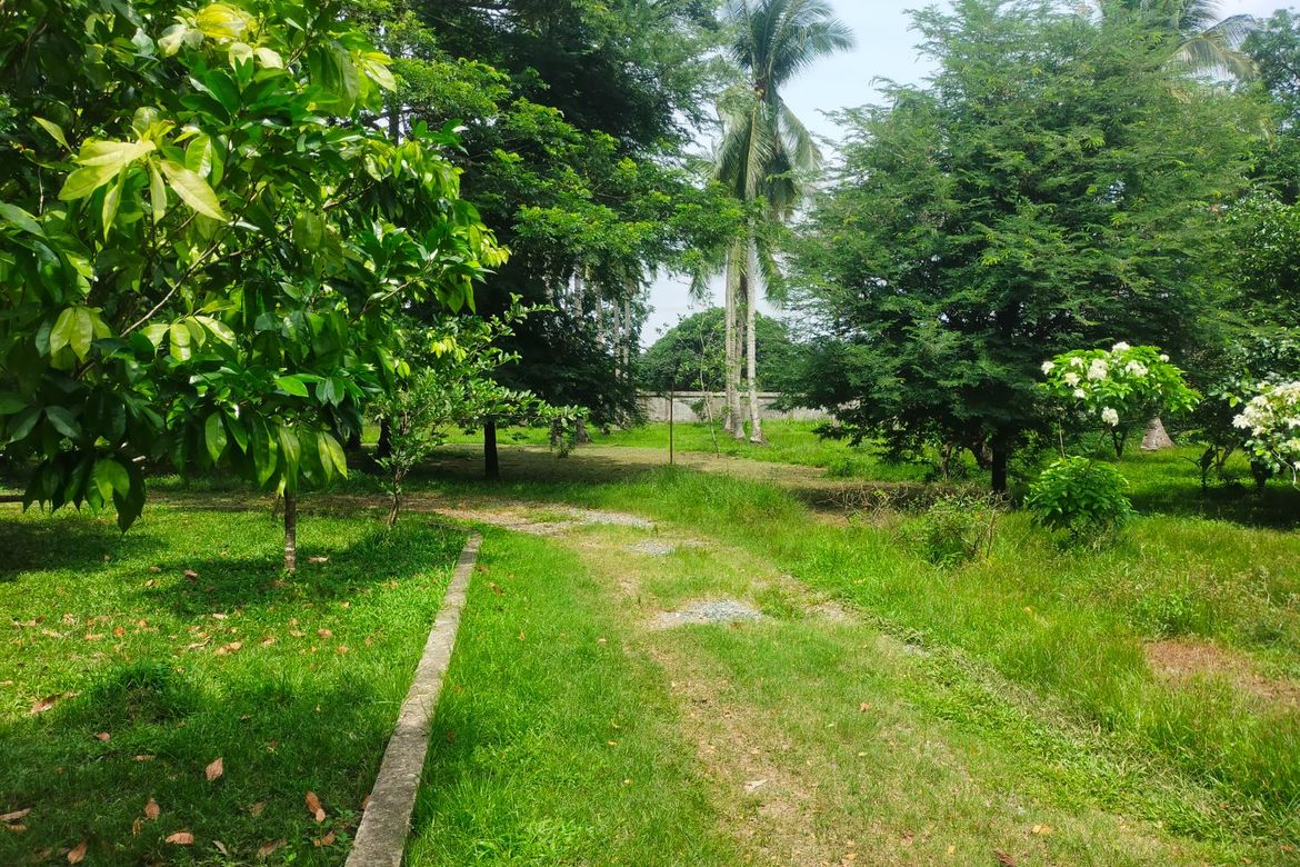 Land for Sale in Balubad, Lumban, Laguna – photo 3