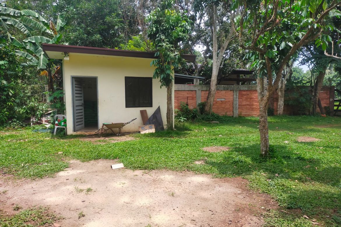 Land for Sale in Balubad, Lumban, Laguna – photo 5
