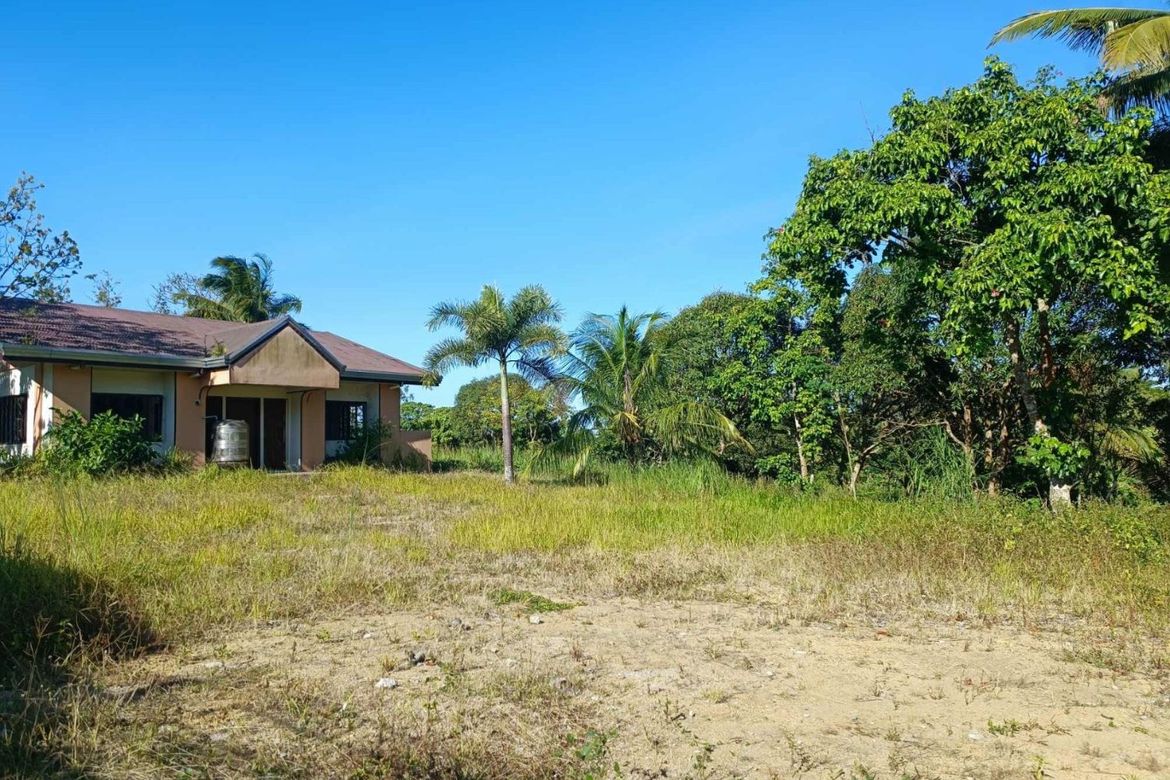 Land for Sale in Balubad, Silang, Cavite – photo 2