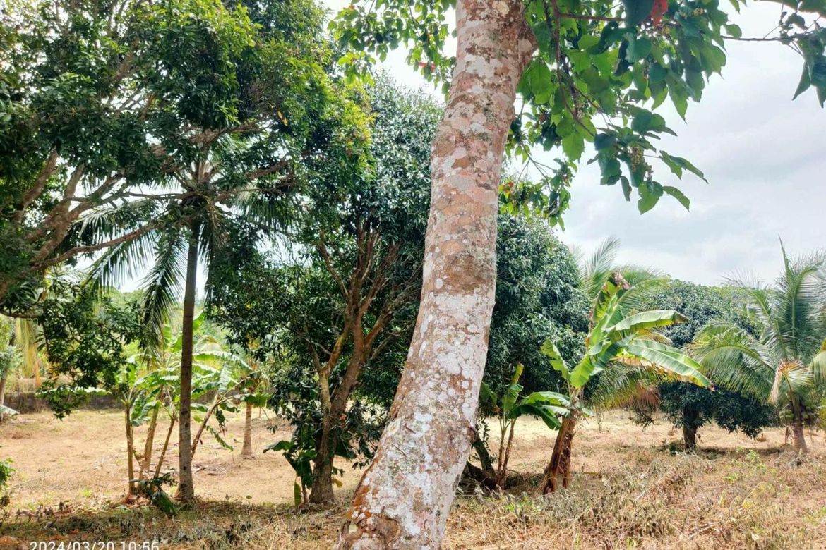 Land for Sale in Balubad, Silang, Cavite – photo 7