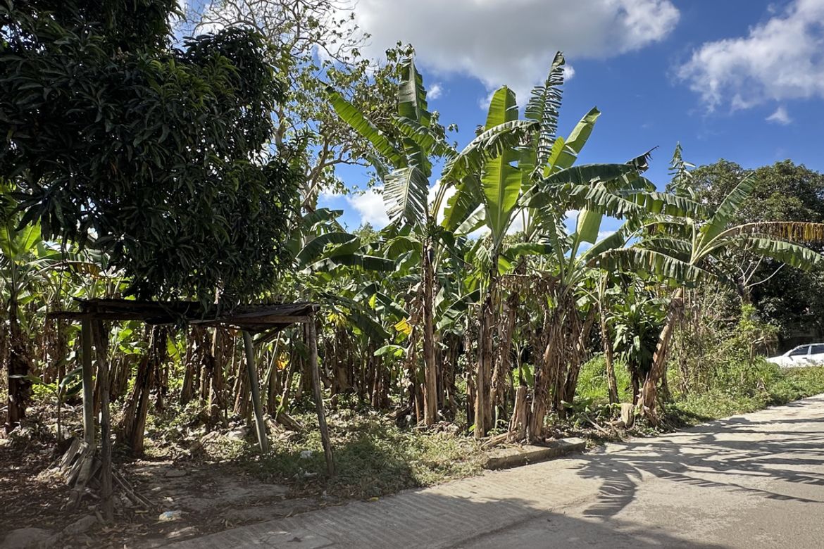 Land for Sale in Balubad, Silang, Cavite