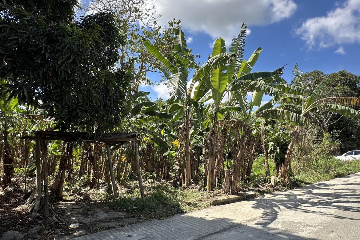 Land for Sale in Balubad, Silang, Cavite – photo 2