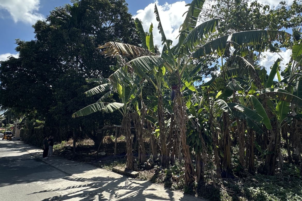 Land for Sale in Balubad, Silang, Cavite – photo 3