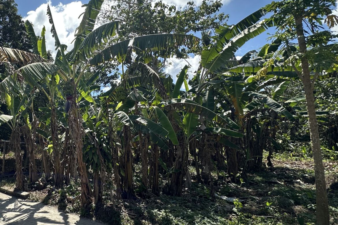Land for Sale in Balubad, Silang, Cavite – photo 4