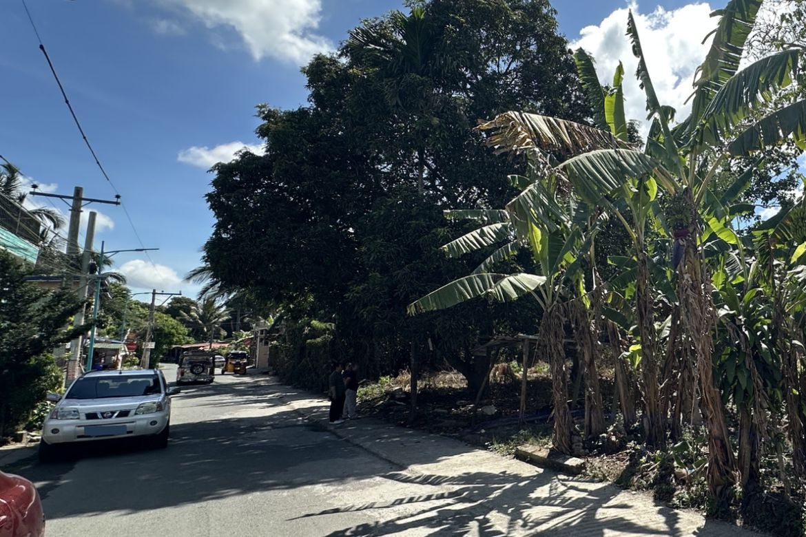 Land for Sale in Balubad, Silang, Cavite – photo 5