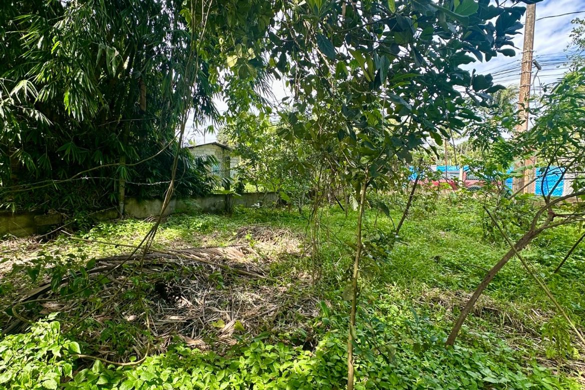 Land for Sale in Balubad, Silang, Cavite – photo 3
