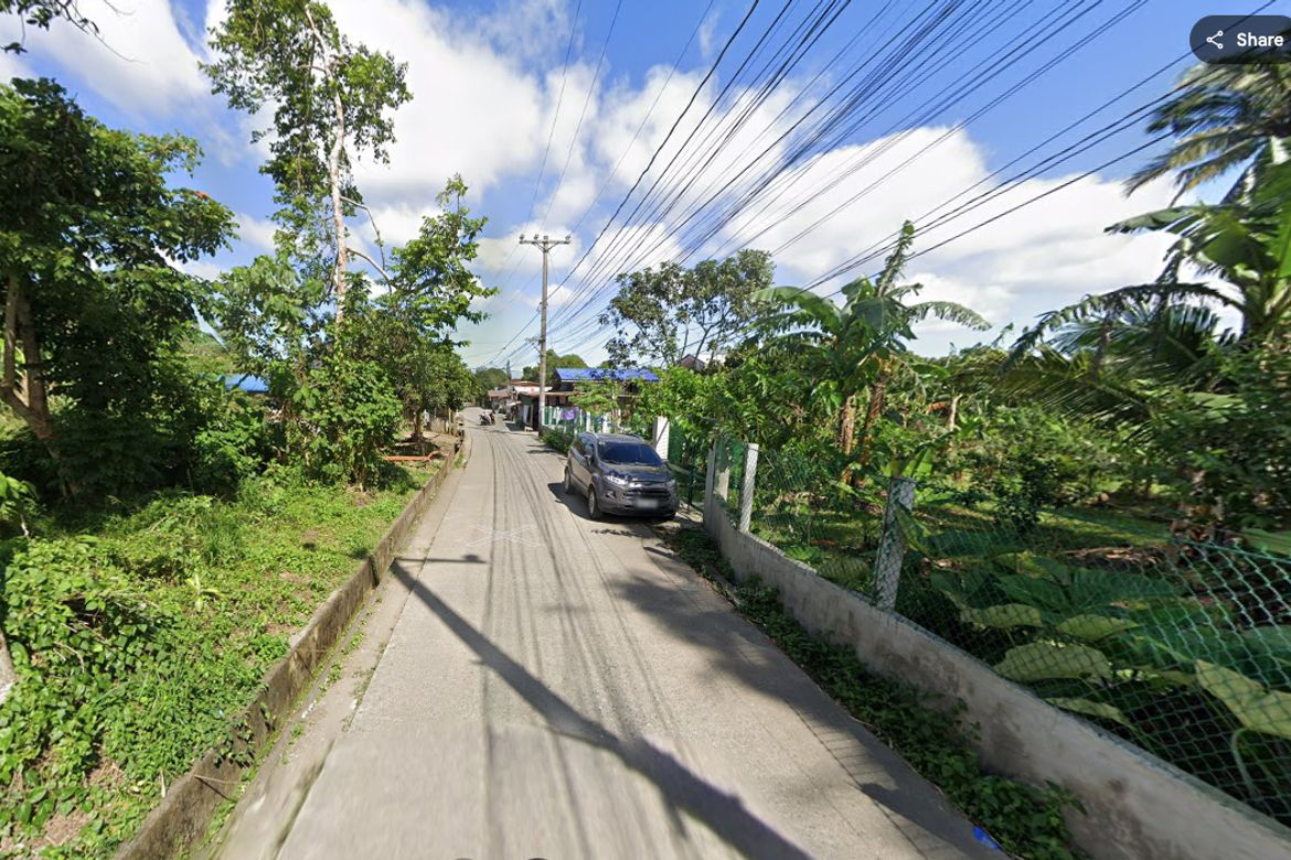 Land for Sale in Balubad, Silang, Cavite – photo 4