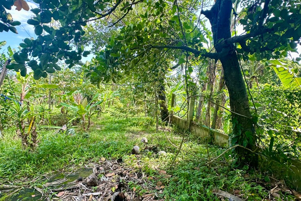 Land for Sale in Balubad, Silang, Cavite – photo 5