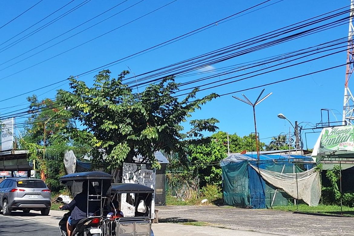 Land for Sale in Balut, Orani, Bataan – photo 6