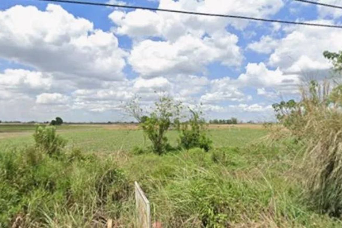 Land for Sale in Balutu, Concepcion, Tarlac – photo 3