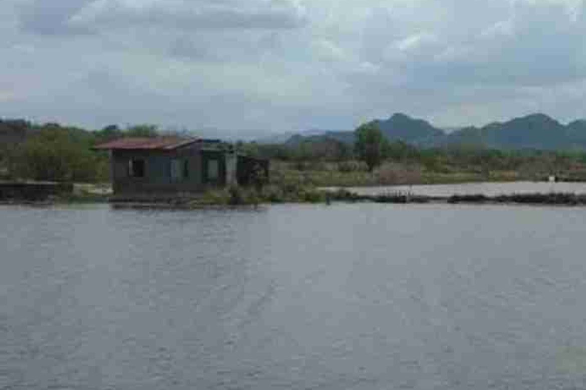 Land for Sale in Bamban, Masinloc, Zambales – photo 2