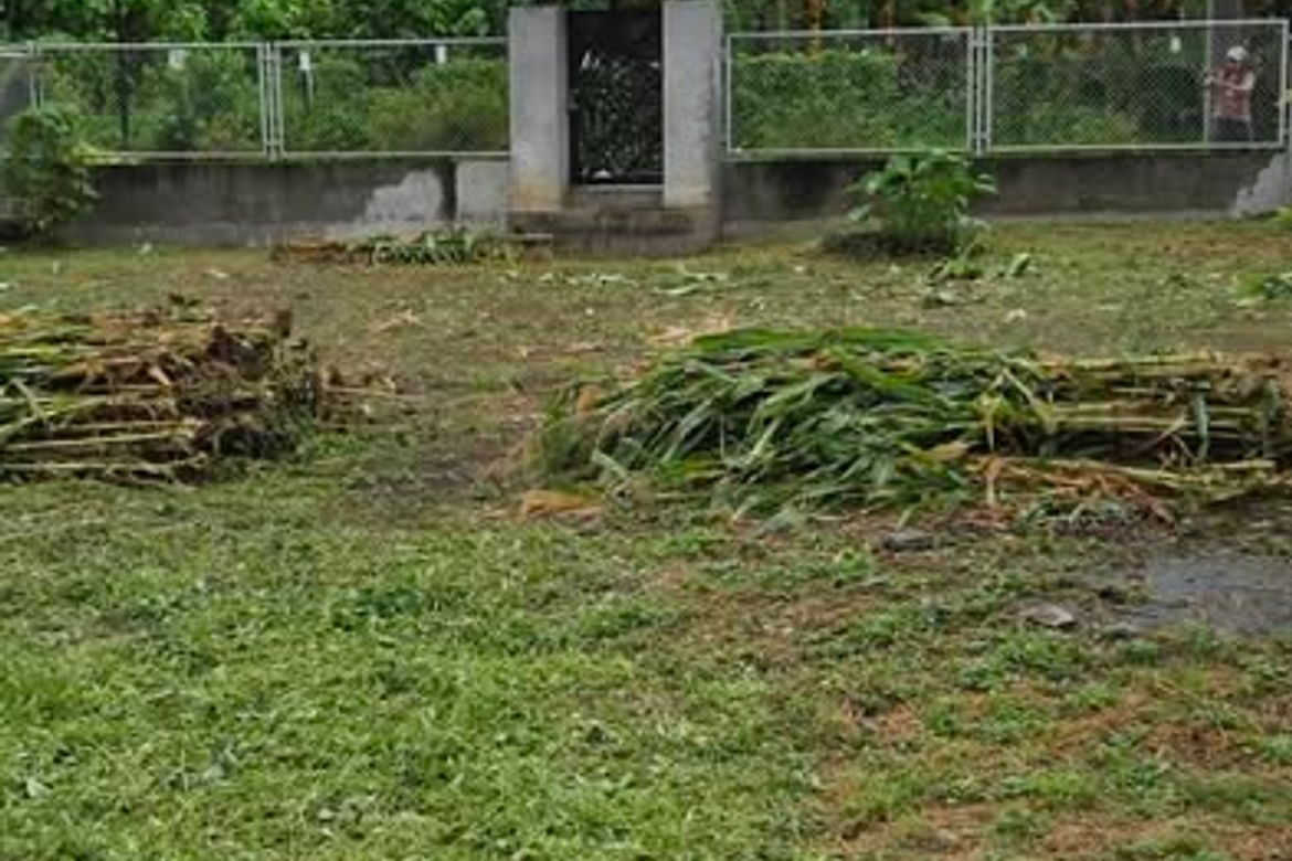 Land for Sale in Banaba Cerca, Indang, Cavite – photo 5