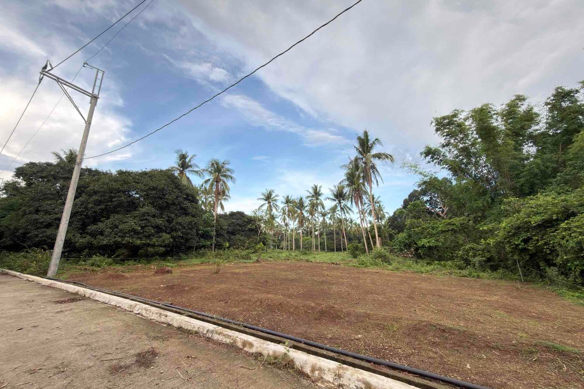 Land for Sale in Banaba Cerca, Indang, Cavite – photo 2