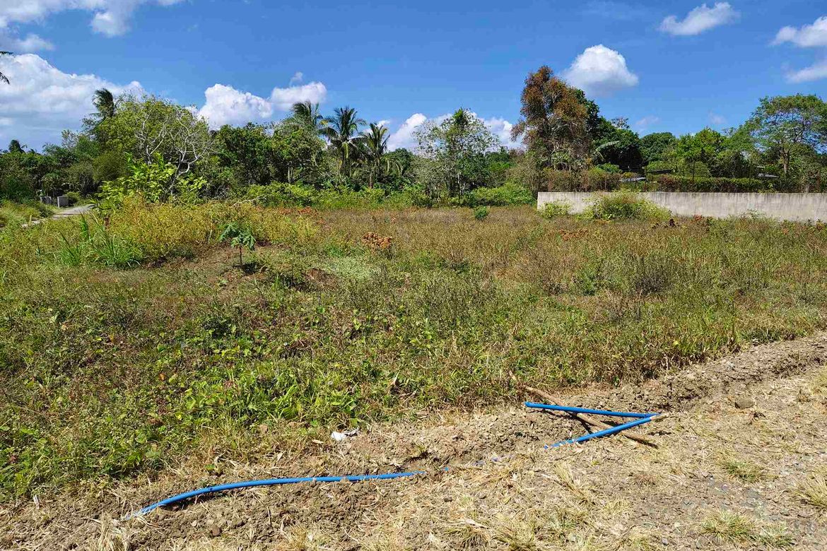 Land for Sale in Banaba Cerca, Indang, Cavite – photo 2