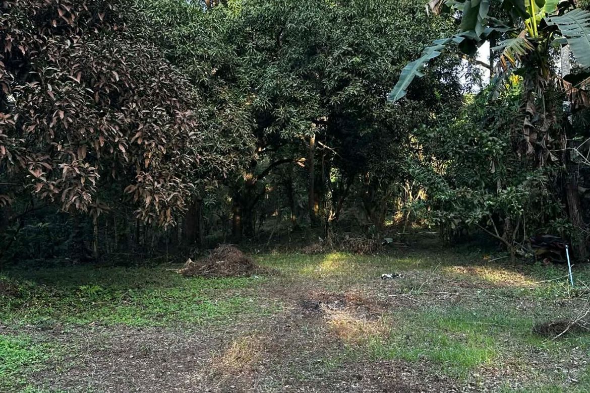 Land for Sale in Banaba Cerca, Indang, Cavite