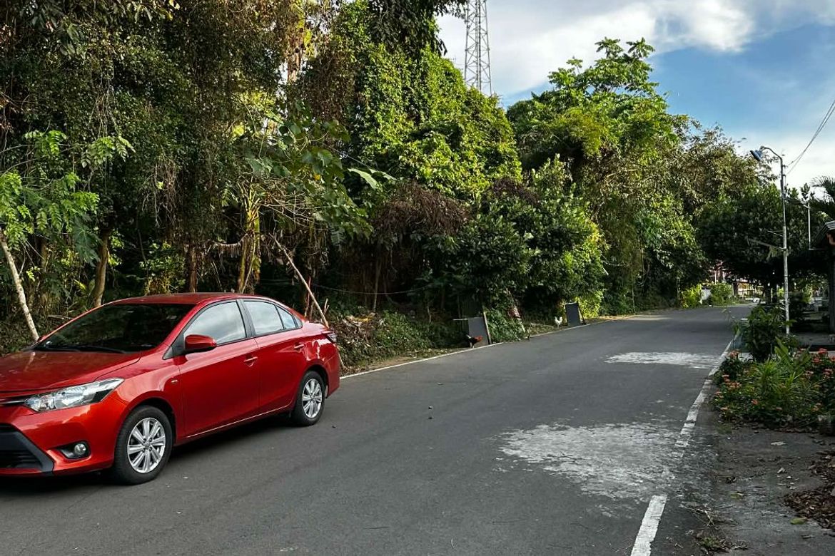 Land for Sale in Banaba Cerca, Indang, Cavite – photo 4