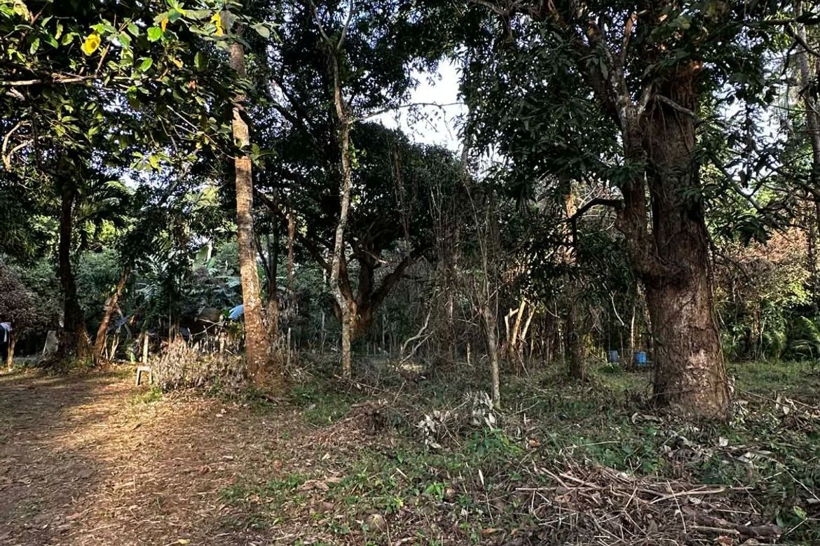 Land for Sale in Banaba Cerca, Indang, Cavite – photo 8