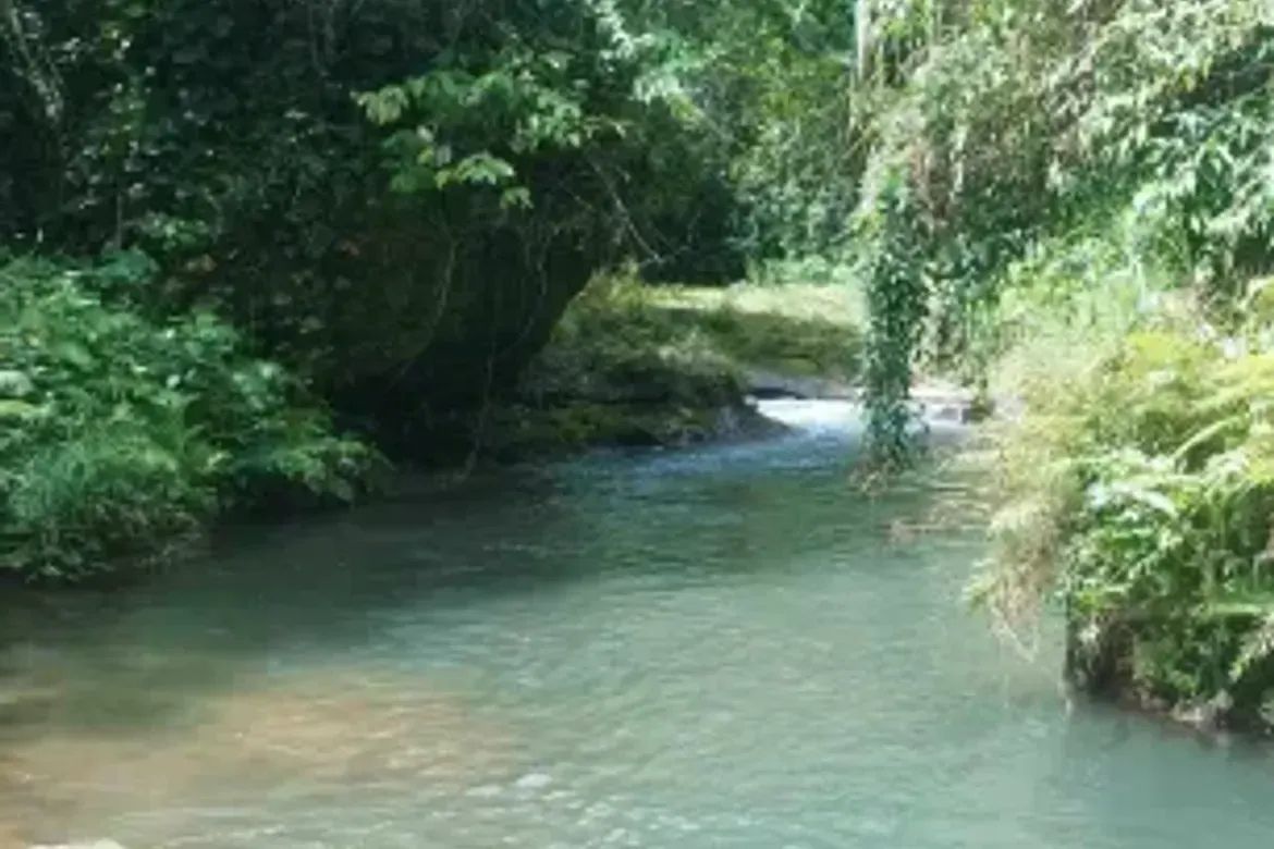 Land for Sale in Banaba Cerca, Indang, Cavite – photo 4