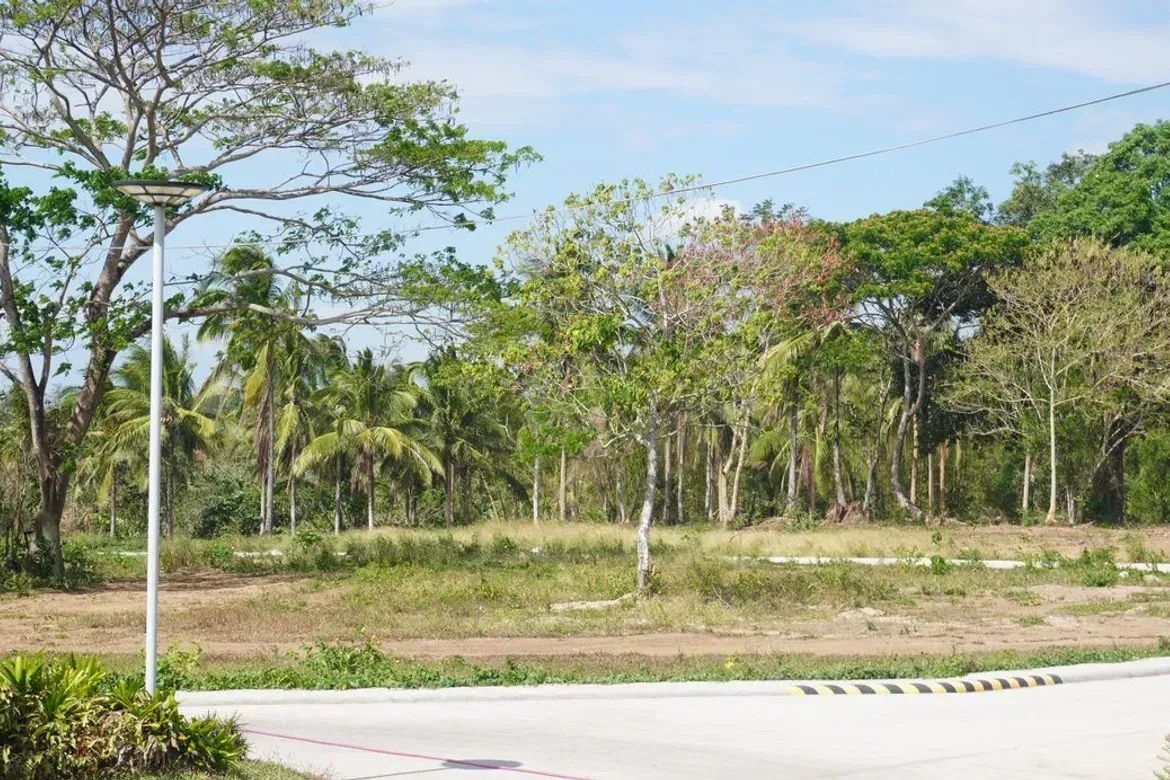 Land for Sale in Banaba Cerca, Indang, Cavite – photo 6