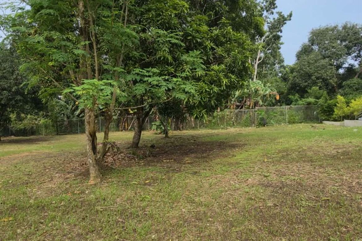 Land for Sale in Banaba Cerca, Indang, Cavite – photo 4