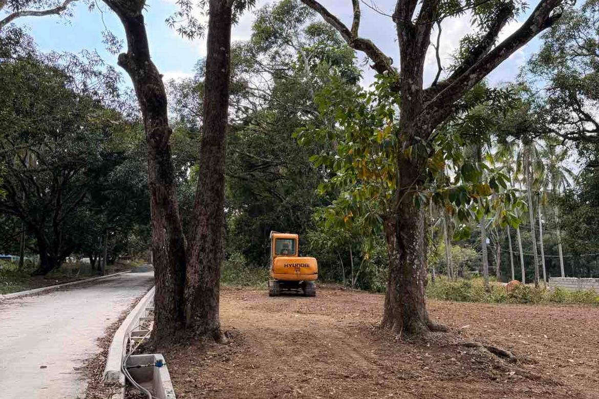 Land for Sale in Banaba Lejos, Indang, Cavite – photo 6