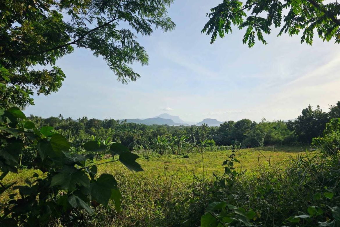 Land for Sale in Banadero, Tanauan, Batangas – photo 3