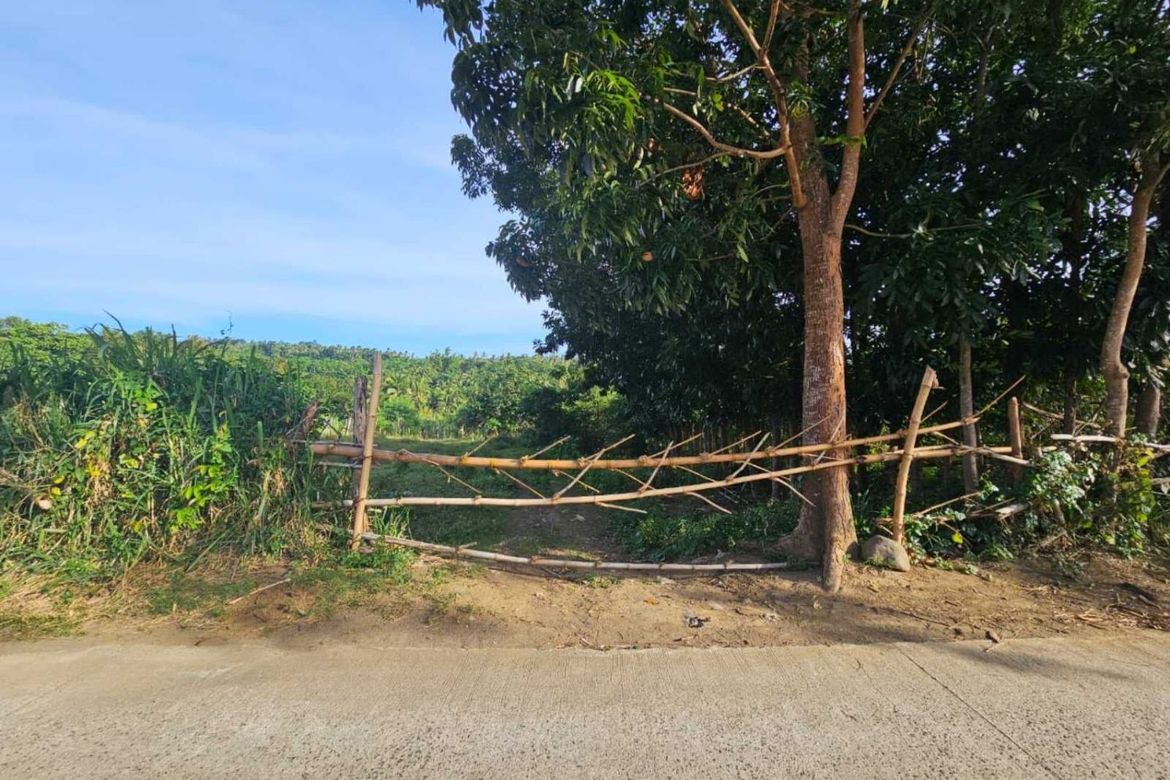 Land for Sale in Banadero, Tanauan, Batangas – photo 5