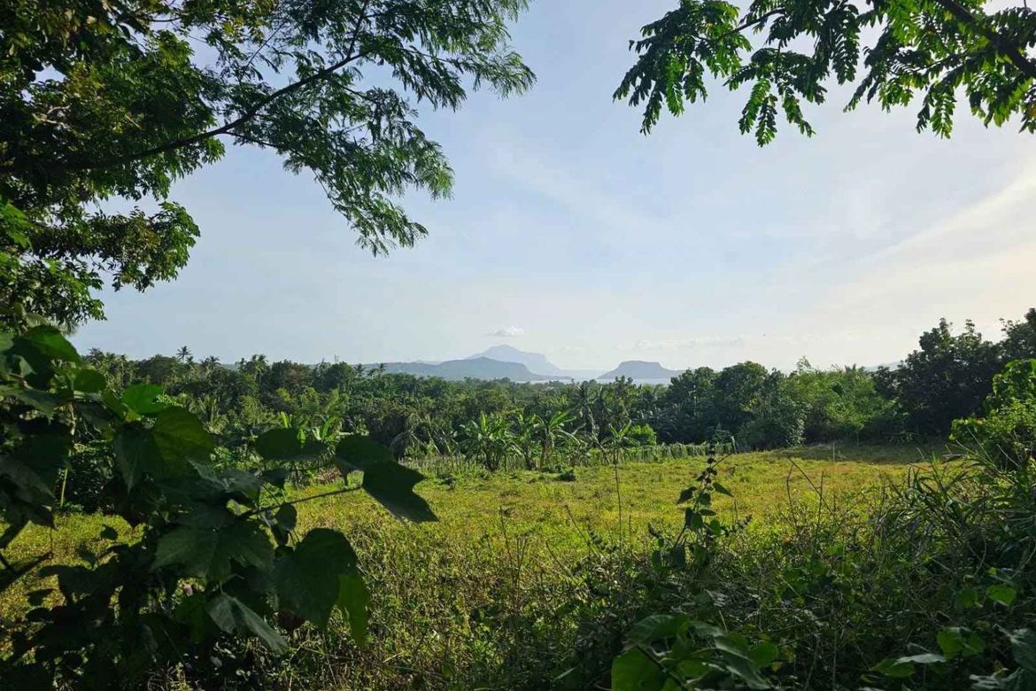 Land for Sale in Banadero, Tanauan, Batangas