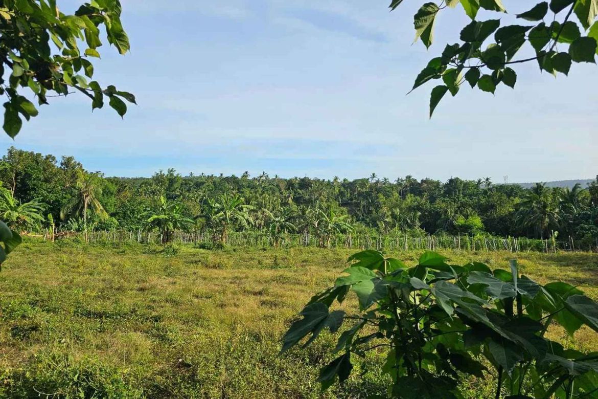 Land for Sale in Banadero, Tanauan, Batangas – photo 6