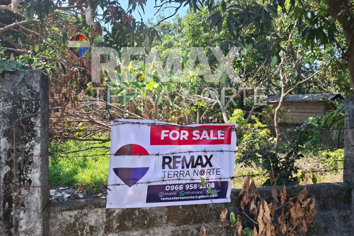 Land for Sale in Banaoang, Mangaldan, Pangasinan