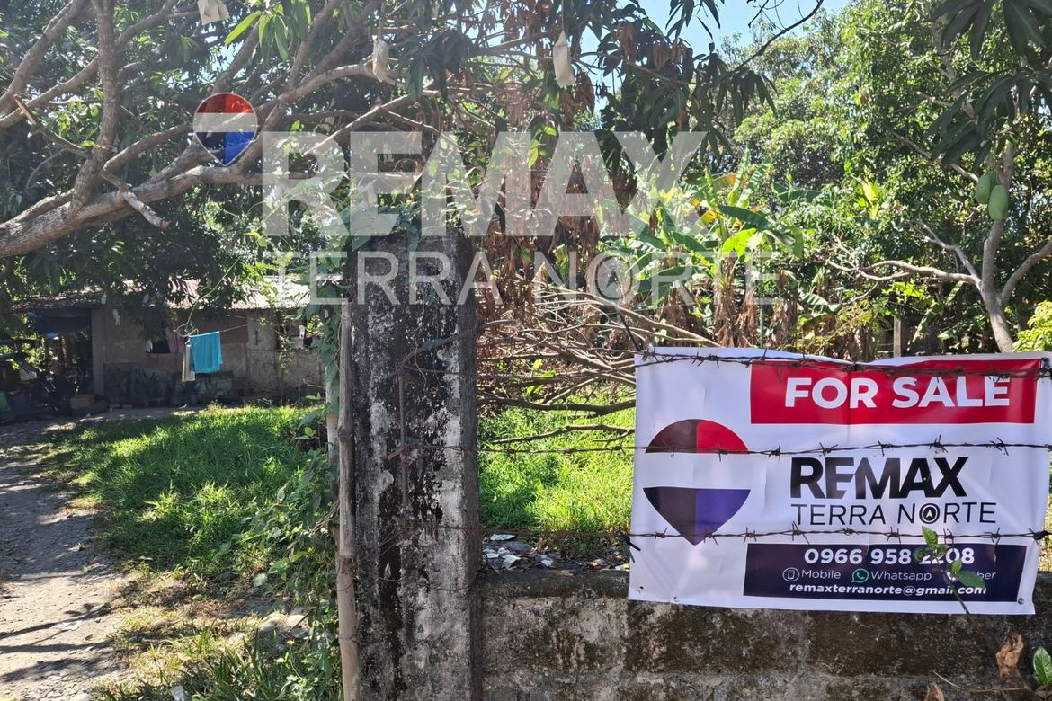 Land for Sale in Banaoang, Mangaldan, Pangasinan – photo 2