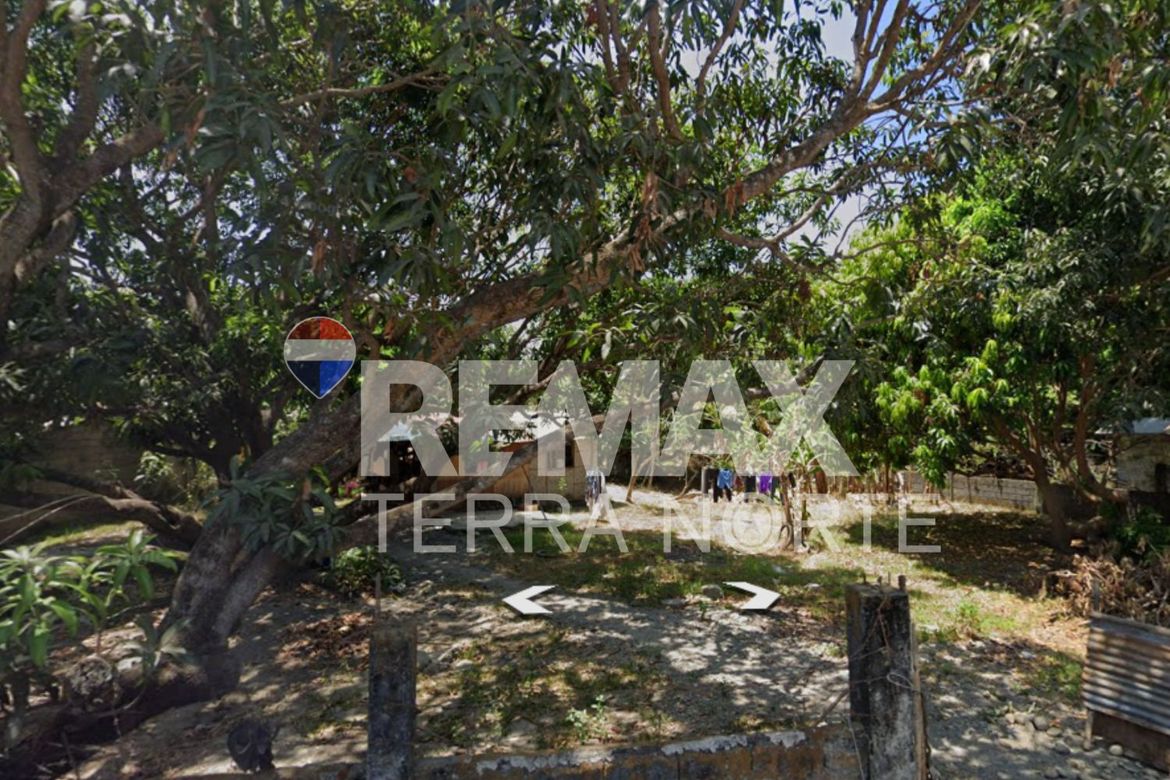 Land for Sale in Banaoang, Mangaldan, Pangasinan – photo 3