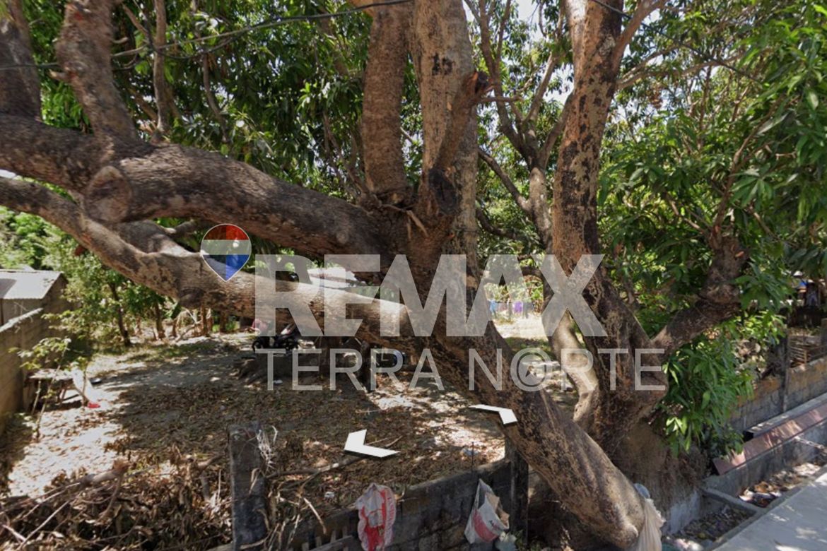 Land for Sale in Banaoang, Mangaldan, Pangasinan – photo 5