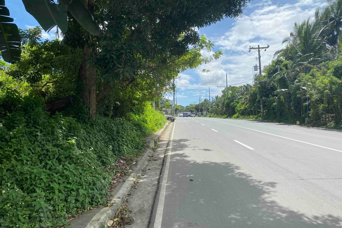 Land for Sale in Banaybanay, Amadeo, Cavite – photo 2