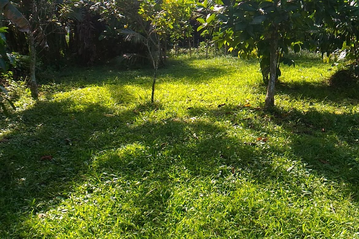 Land for Sale in Banaybanay, Amadeo, Cavite – photo 3