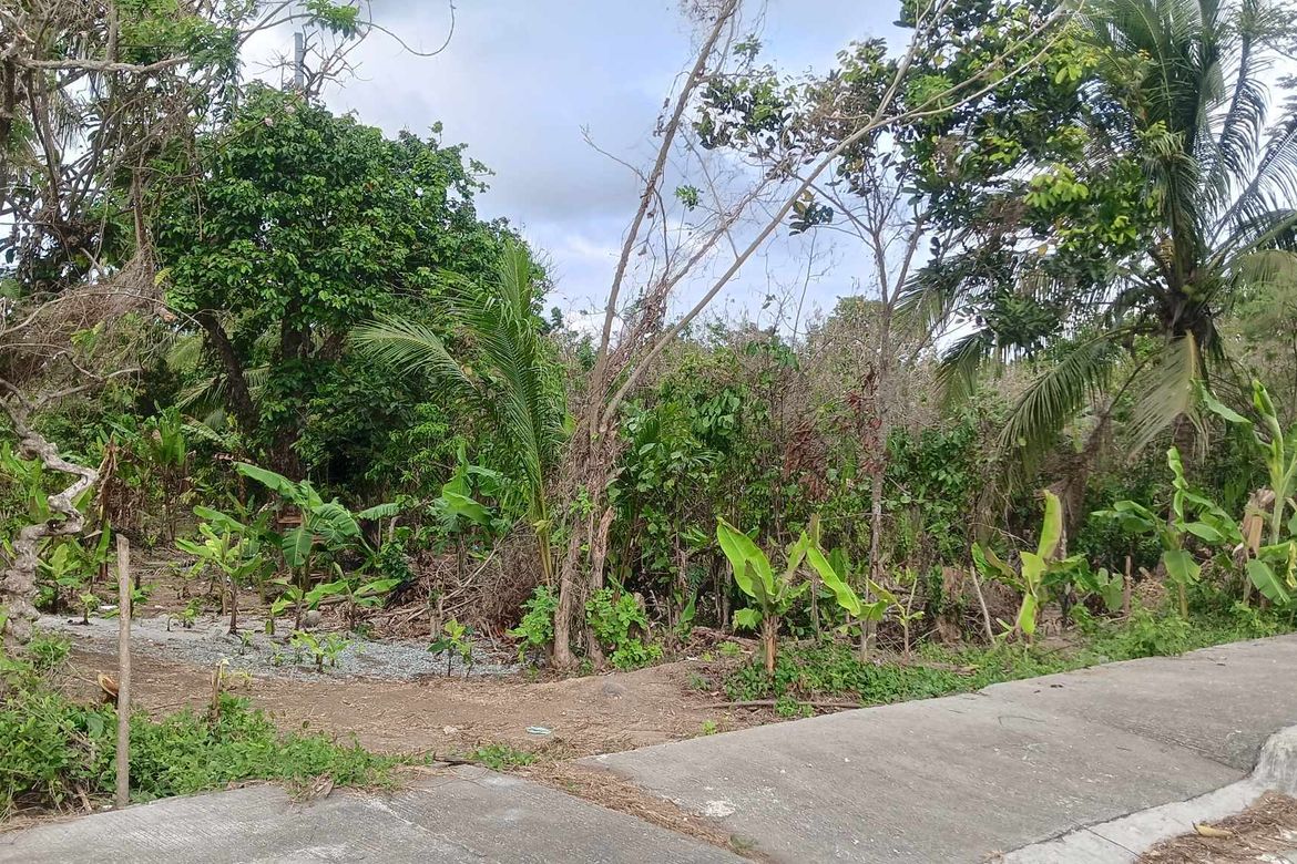 Land for Sale in Banaybanay, Amadeo, Cavite – photo 3