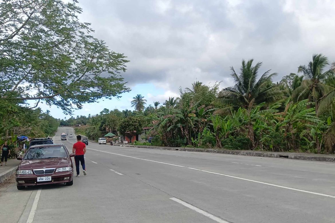 Land for Sale in Banaybanay, Amadeo, Cavite – photo 5