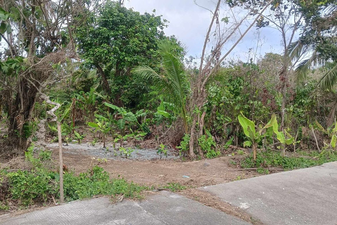 Land for Sale in Banaybanay, Amadeo, Cavite – photo 6