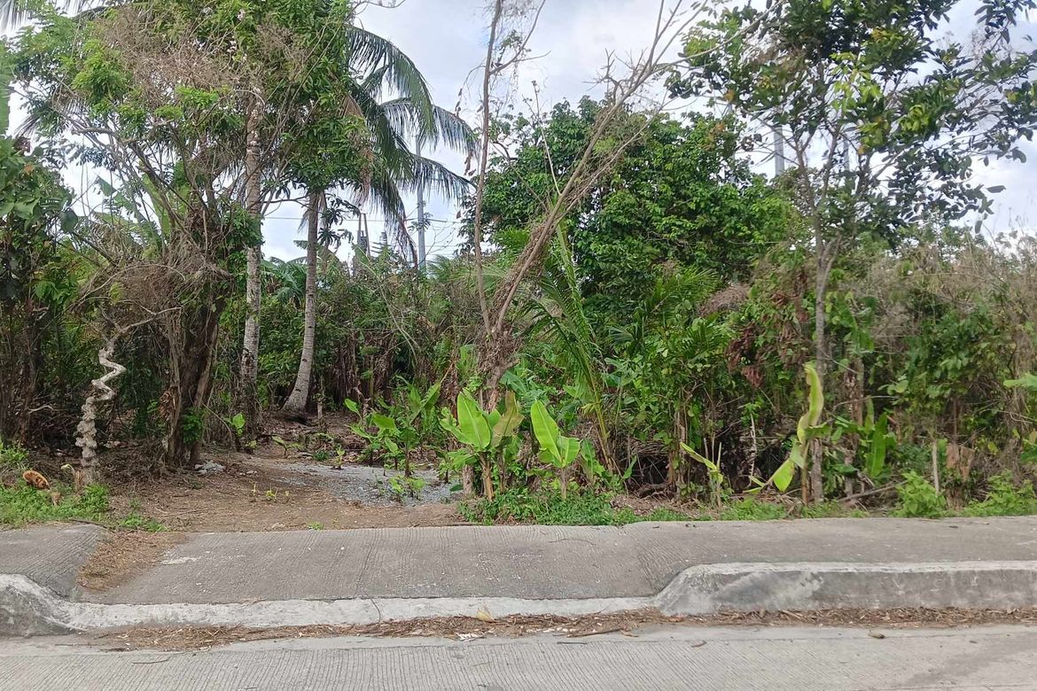 Land for Sale in Banaybanay, Amadeo, Cavite – photo 7