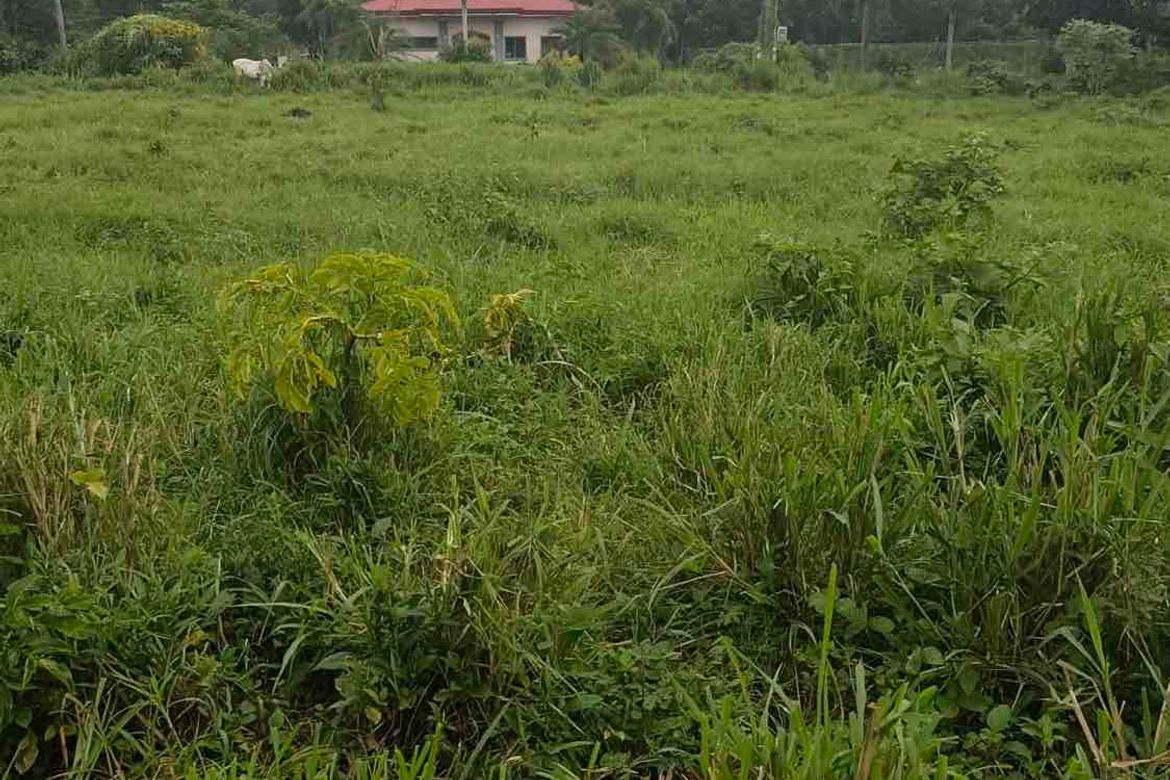 Land for Sale in Banaybanay, Lipa, Batangas