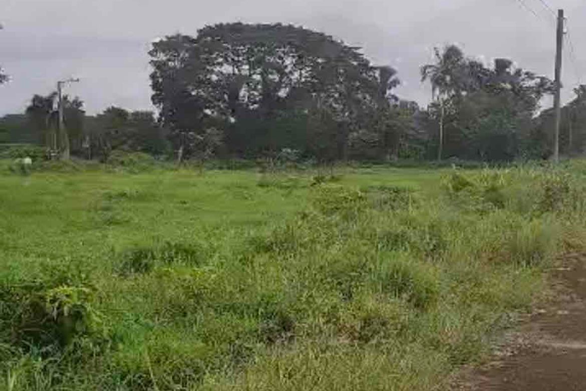 Land for Sale in Banaybanay, Lipa, Batangas – photo 2